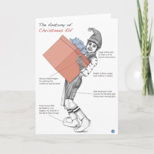 Cartes Pour Fêtes Annuelles Anatomie d'un elfe de Noël (Devant)