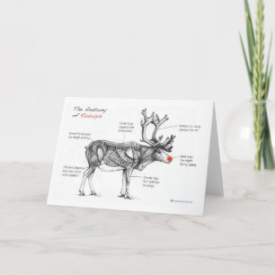 Cartes Pour Fêtes Annuelles Anatomy of Christmas