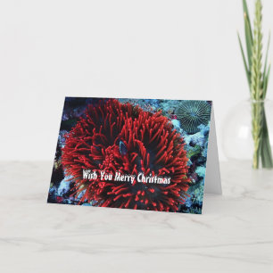 Cartes Pour Fêtes Annuelles Anémone rouge et poisson anémone
