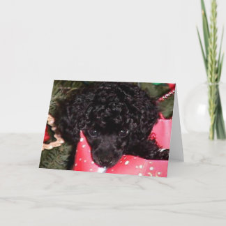 Cartes Pour Fêtes Annuelles Ange de Noël