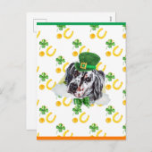Cartes Pour Fêtes Annuelles Anglais Setter Shamrock Saint-Patricks Day (Devant / Derrière)