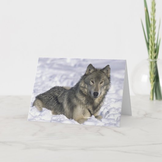 Cartes Pour Fêtes Annuelles Animal En Neige (Devant)