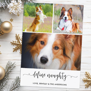 Cartes Pour Fêtes Annuelles Animaux de compagnie Définir Chien coquin Photo Co