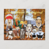Animaux de compagnie Funny Personnalisables Pèleri