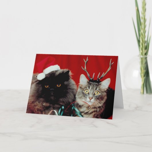 Cartes Pour Fêtes Annuelles Animaux de Noël (Devant)