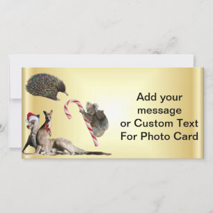 Cartes Pour Fêtes Annuelles Animaux de Noël australiens