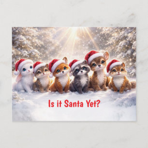 Cartes Pour Fêtes Annuelles Animaux mignons de la forêt pour les fêtes de Noël