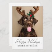 Cartes Pour Fêtes Annuelles Animaux Secourus Photo Noël (Devant / Derrière)