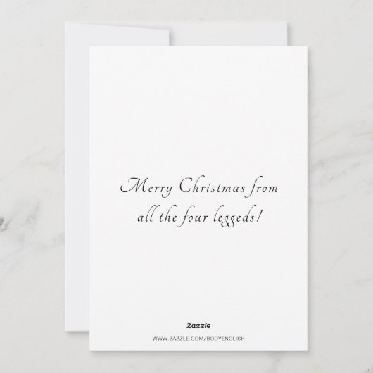 Cartes Pour Fêtes Annuelles Animaux Secourus Photo Noël (Dos)