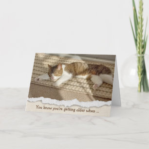 Cartes Pour Fêtes Annuelles Anniversaire Napping de chats au soleil