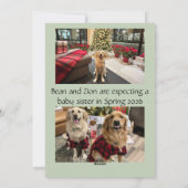 Cartes Pour Fêtes Annuelles Annonce de grossesse pour bébé Noël C (Dos)