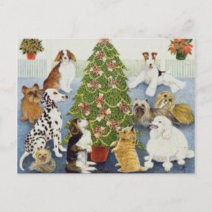 Cartes Pour Fêtes Annuelles Anticipation