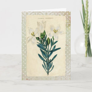 Cartes Pour Fêtes Annuelles Antique Pâques Lily