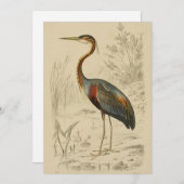 Cartes Pour Fêtes Annuelles Antique Purple Heron Travers Edouard Imprimer (Devant / Derrière)