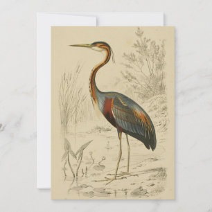 Cartes Pour Fêtes Annuelles Antique Purple Heron Travers Edouard Imprimer