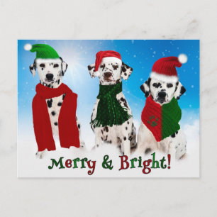Cartes Pour Fêtes Annuelles APAL - Chiens dalmates de Noël