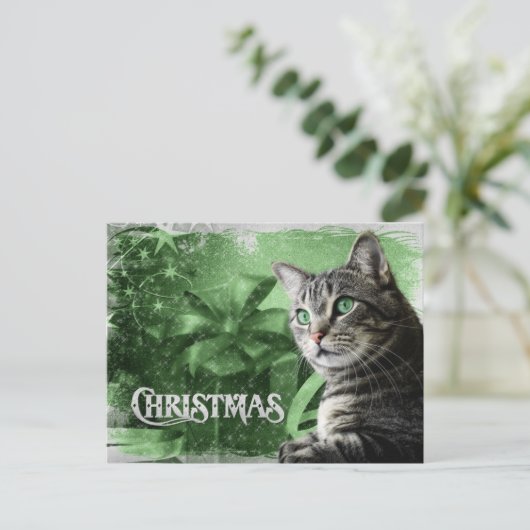 Cartes Pour Fêtes Annuelles APAL - Tabby en argent de Noël (Debout devant)