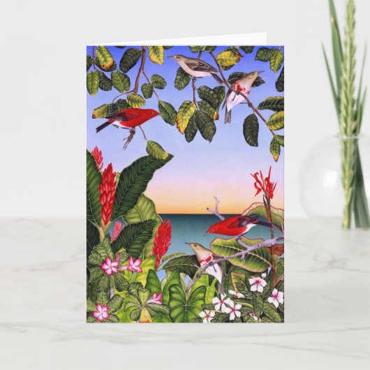 Cartes Pour Fêtes Annuelles Apanepane (Devant)