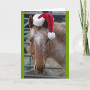 Cartes Pour Fêtes Annuelles Appaloosa avec le casquette de Père Noël