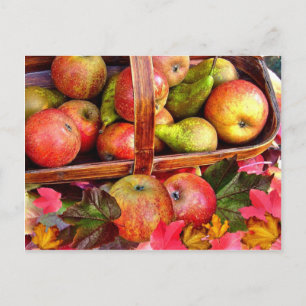 Cartes Pour Fêtes Annuelles APPLES et PEARS