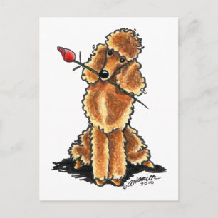 Cartes Pour Fêtes Annuelles Apricot Poodle Adulte Valentines