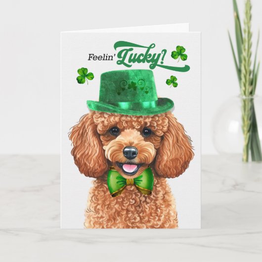 Cartes Pour Fêtes Annuelles Apricot Poodle Dog Feelin' Lucky St Patrick's Day (Devant)