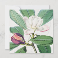 Aquarelle Botanique Blanc Magnolia & Feuilles vert
