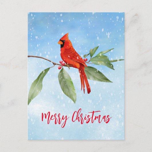 Cartes Pour Fêtes Annuelles Aquarelle de Noël Bleu Vert Rouge Cardinal Oiseau (Devant)
