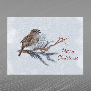 Cartes Pour Fêtes Annuelles Aquarelle de Noël Pine Boughs Wren