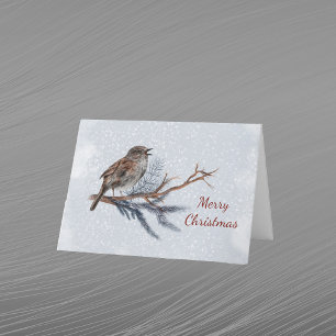 Cartes Pour Fêtes Annuelles Aquarelle de Noël Pine Boughs Wren