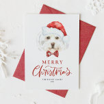 Cartes Pour Fêtes Annuelles Aquarelle Maltese à Santa Hat Joyeux Noël<br><div class="desc">Joyeux Noël! Envoyez vos souhaits de vacances à votre famille et à vos amis avec cette carte postale de Noël personnalisable. Il présente un Maltais aquarelle portant un chapeau de Père Noël. Personnalisez cette jolie carte de Noël en ajoutant vos détails. Cette carte postale de Noël pour chien maltais est...</div>