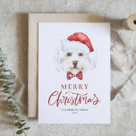 Cartes Pour Fêtes Annuelles Aquarelle Maltese à Santa Hat Joyeux Noël<br><div class="desc">Joyeux Noël! Envoyez vos souhaits de vacances à votre famille et à vos amis avec cette carte de Noël personnalisable. Il présente un Maltais aquarelle portant un chapeau de Père Noël. Personnalisez cette jolie carte de Noël en ajoutant vos détails. Cette carte de Noël pour chien maltais est disponible sur...</div>