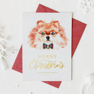 Cartes Pour Fêtes Annuelles Aquarelle mignonne Chien roumain Joyeux Noël
