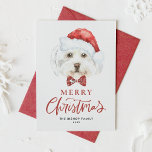 Cartes Pour Fêtes Annuelles Aquarelle mignonne Maltese Père Noël Joyeux Noël<br><div class="desc">Joyeux Noël! Envoyez vos souhaits de vacances à votre famille et à vos amis avec cette carte de Noël personnalisable. Il comprend un chien maltais aquarelle portant un chapeau de Père Noël. Personnalisez cette jolie carte de Noël en ajoutant vos détails. Cette carte de Noël pour chien maltais est disponible...</div>