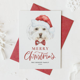 Cartes Pour Fêtes Annuelles Aquarelle mignonne Maltese Père Noël Joyeux Noël