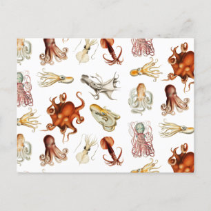Cartes Pour Fêtes Annuelles Aquarelle Octopus Cephalopod Océan Animaux
