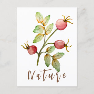 Cartes Pour Fêtes Annuelles Aquarelle rose hanches
