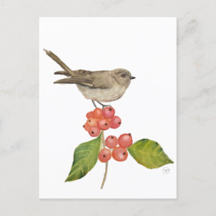 Cartes Pour Fêtes Annuelles Aquarelle "Sylvia curruca"