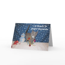 Arabella le chat - Noël blanc