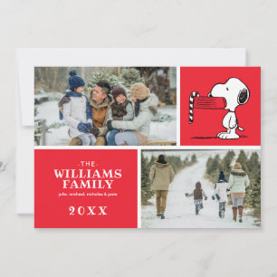 Cartes Pour Fêtes Annuelles Arachides Noël Snoopy Famille Photo Collage