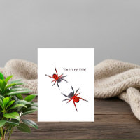 Araignées rouges