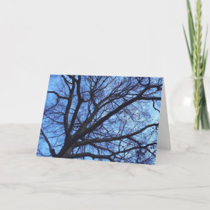 Cartes Pour Fêtes Annuelles Arbre contre ciel bleu d'hiver -