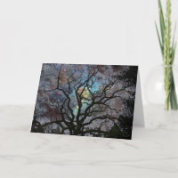 Arbre cosmique - nébuleuse de trou de la serrure