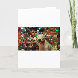 Cartes Pour Fêtes Annuelles arbre de cadeau de Noël de bull-terrier