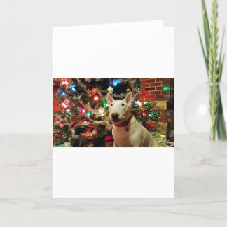 Cartes Pour Fêtes Annuelles arbre de cadeau de Noël de bull-terrier