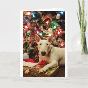 Cartes Pour Fêtes Annuelles arbre de cadeau de Noël de bull-terrier