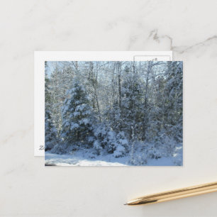 Cartes Pour Fêtes Annuelles Arbre de Noël couvert de neige