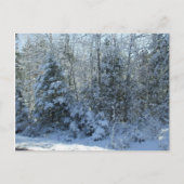 Cartes Pour Fêtes Annuelles Arbre de Noël couvert de neige (Devant)