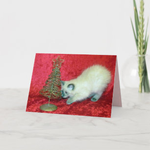 Cartes Pour Fêtes Annuelles Arbre de Noël de Savannah ( Chat / Chaton )