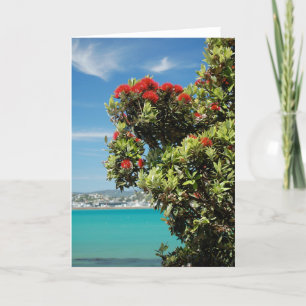 Cartes Pour Fêtes Annuelles Arbre de Noël néo-zélandais, Pohutukawa